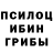 Псилоцибиновые грибы Cubensis Zefirka 33