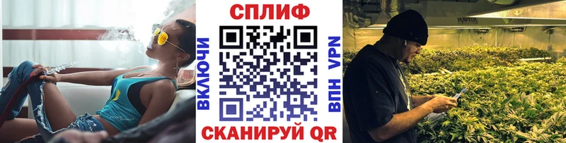 Шишки марихуана THC 21%  Бородино 